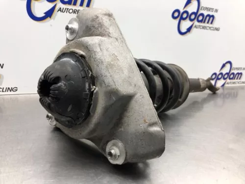 Schokdemperpoot links-voor-8199579