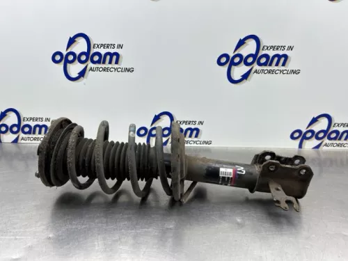 Schokdemperpoot links-voor-8231821