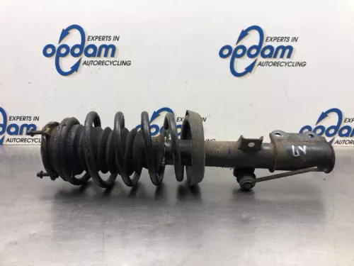 Schokdemperpoot links-voor-8039563