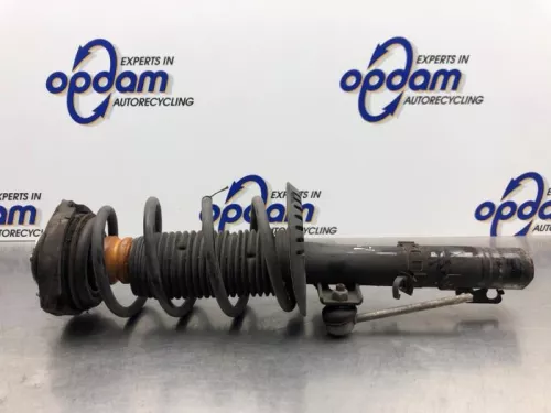 Schokdemperpoot links-voor-8198475
