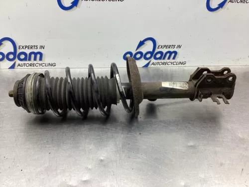 Schokdemperpoot links-voor-7863994