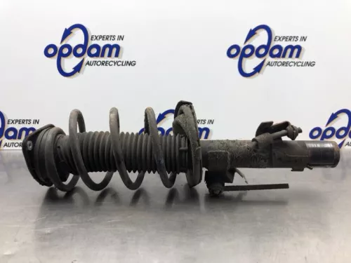 Schokdemperpoot links-voor-8182733