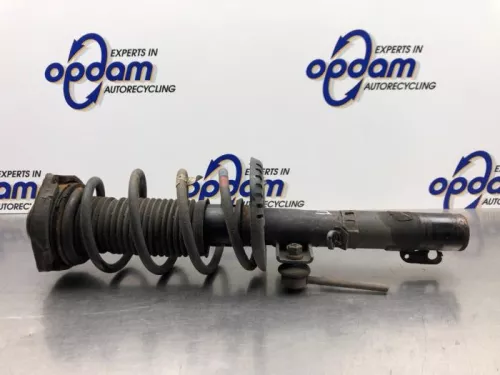 Schokdemperpoot links-voor-8171366