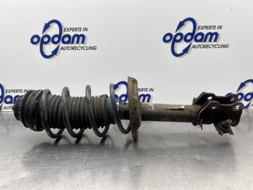 Schokdemperpoot links-voor-8222406
