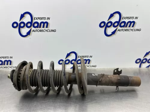 Schokdemperpoot links-voor-8280613