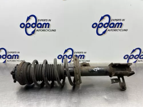 Schokdemperpoot links-voor-8174298