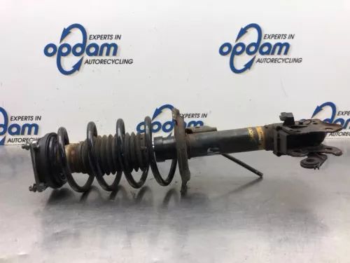 Schokdemperpoot links-voor-8091832