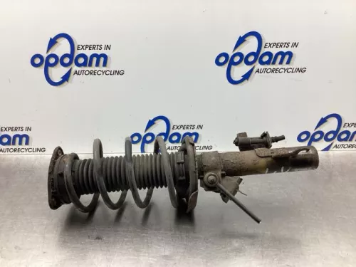 Schokdemperpoot links-voor-7977194