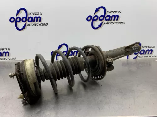 Schokdemperpoot links-voor-8218161