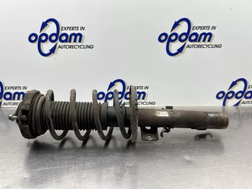 Schokdemperpoot links-voor-8292555