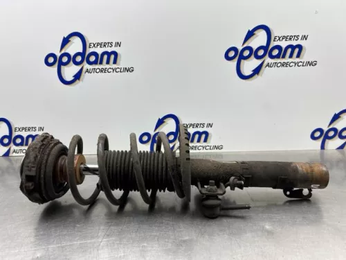 Schokdemperpoot links-voor-8309854