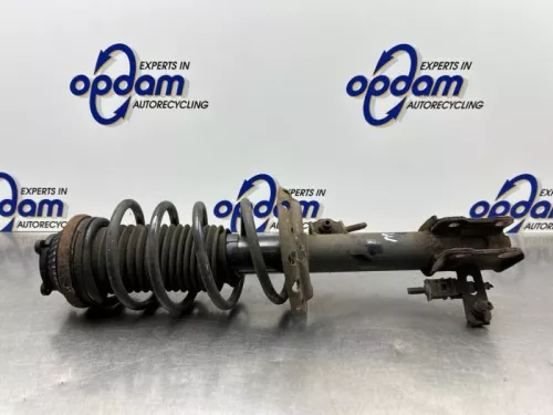 Schokdemperpoot links-voor-8317997