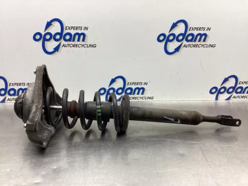 Schokdemperpoot links-voor-8063508