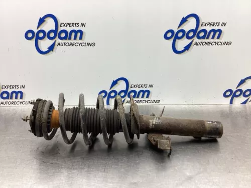 Schokdemperpoot links-voor-8034691