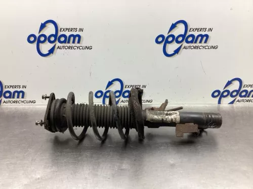 Schokdemperpoot links-voor-7940648