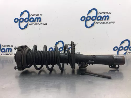 Schokdemperpoot links-voor-8158277