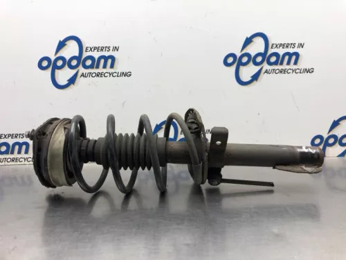 Schokdemperpoot links-voor-8171359