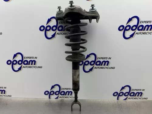 Schokdemperpoot links-voor-8254156