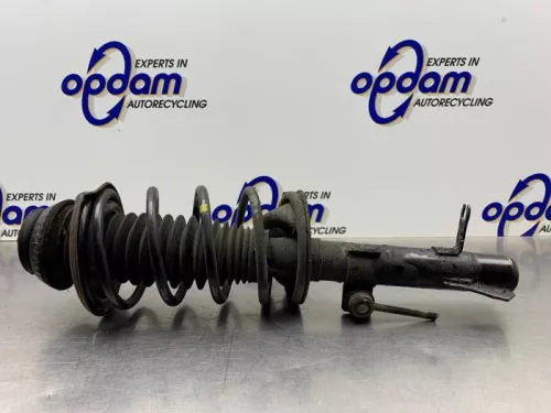 Schokdemperpoot links-voor-8275626