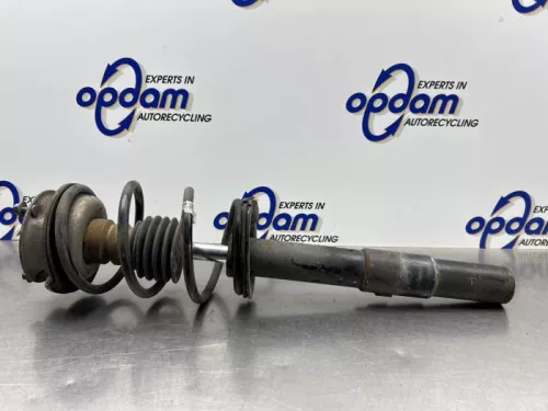 Schokdemperpoot links-voor-8206625