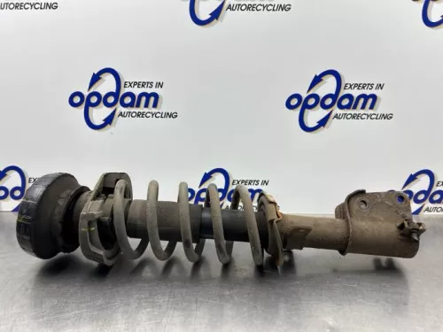 Schokdemperpoot links-voor-8269615