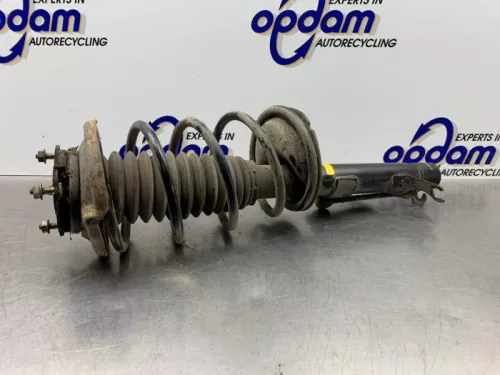 Schokdemperpoot links-voor-8220831