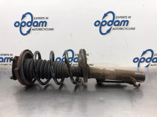 Schokdemperpoot links-voor-8163012