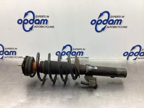 Schokdemperpoot links-voor-8027463
