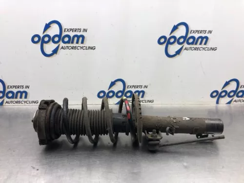 Schokdemperpoot links-voor-8108514