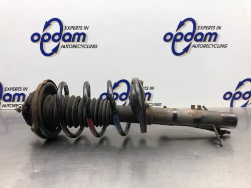 Schokdemperpoot links-voor-8180719