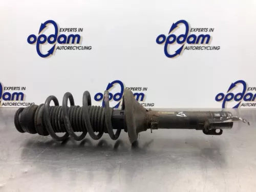 Schokdemperpoot links-voor-8196845