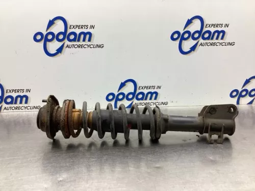 Schokdemperpoot links-voor-8060207