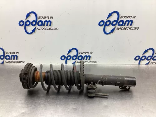 Schokdemperpoot links-voor-8066168