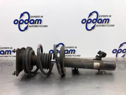 Schokdemperpoot links-voor-8123263