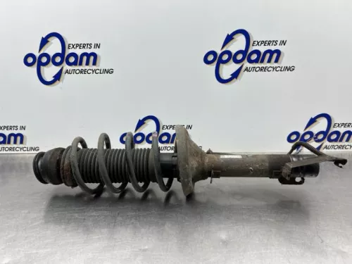 Schokdemperpoot links-voor-8296671