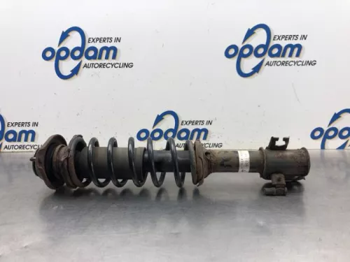 Schokdemperpoot links-voor-8163448