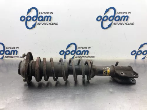 Schokdemperpoot links-voor-8175502