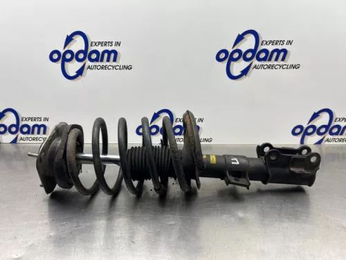 Schokdemperpoot links-voor-8298773