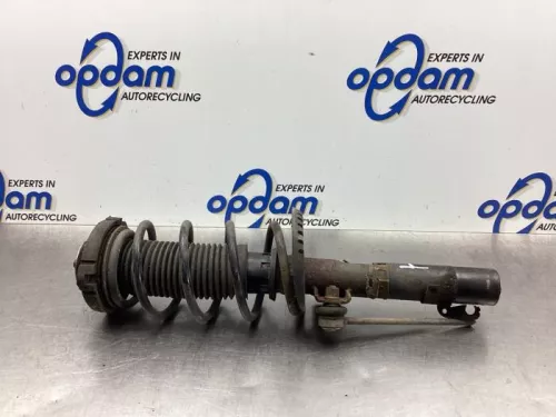 Schokdemperpoot links-voor-7928725