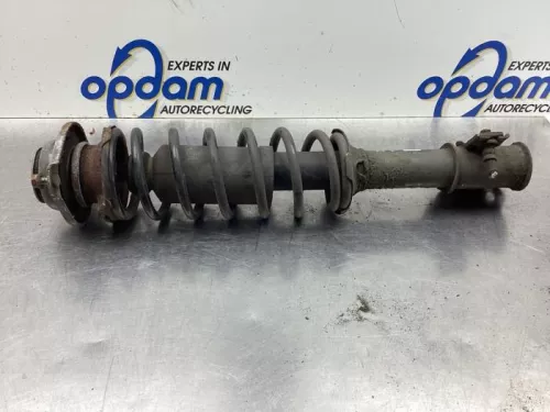 Schokdemperpoot links-voor-8100036