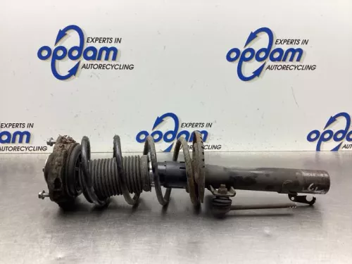 Schokdemperpoot links-voor-8146060