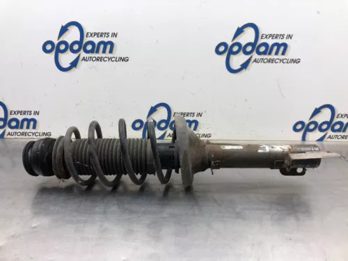 Schokdemperpoot links-voor-8163116