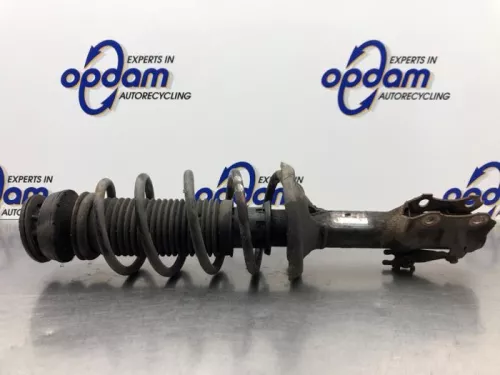 Schokdemperpoot links-voor-8190458