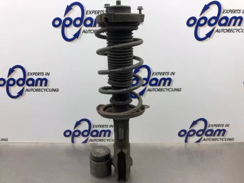Schokdemperpoot links-voor-8259136