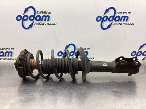 Schokdemperpoot links-voor-8121591