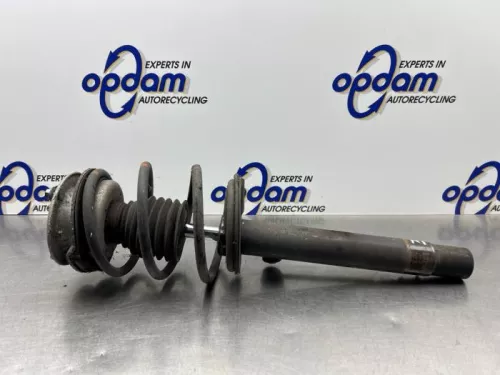 Schokdemperpoot links-voor-8285252