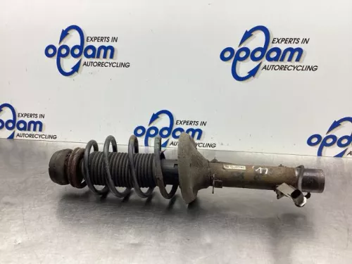 Schokdemperpoot links-voor-8059119