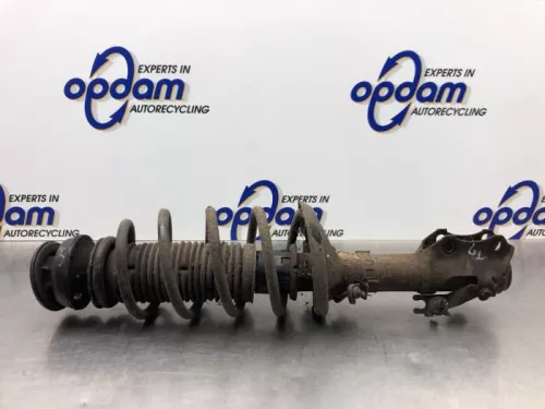 Schokdemperpoot links-voor-8225035