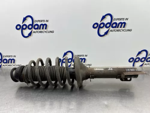 Schokdemperpoot links-voor-8299852