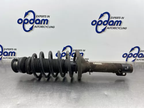 Schokdemperpoot links-voor-8316043